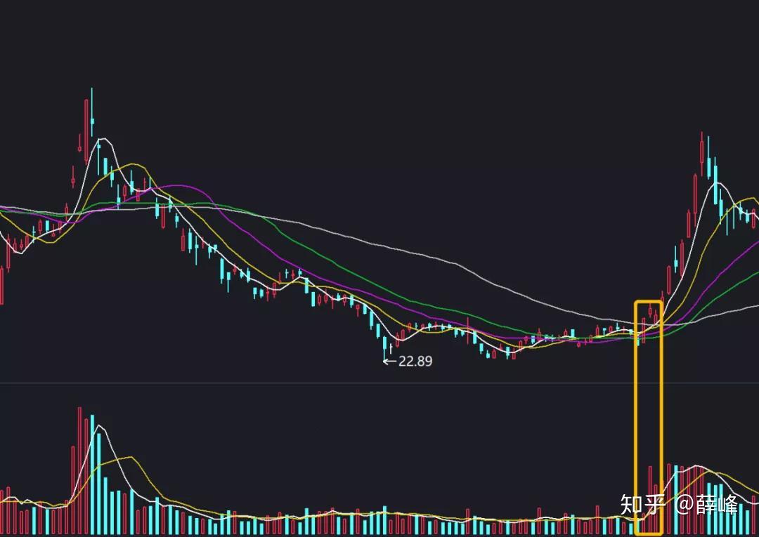 全球最强独角兽诞生!OpenAI拟出售60亿美元员工股权,估值达5000亿美元