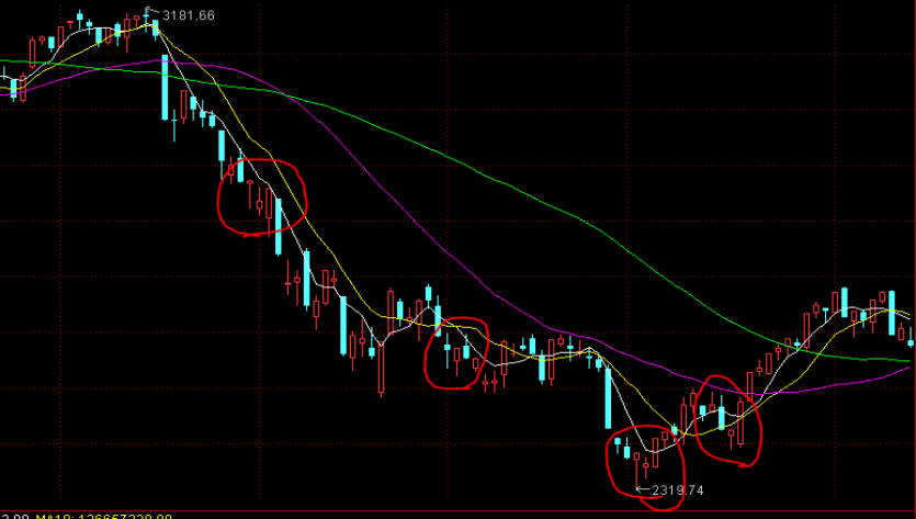 2025年广西“潮动三月三·民族体育炫”系列比赛组委会会议召开